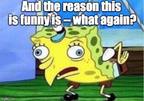 Mocking Spongebob Meme | And the reason this is funny is -- what again? | image tagged in memes,mocking spongebob | made w/ Imgflip meme maker