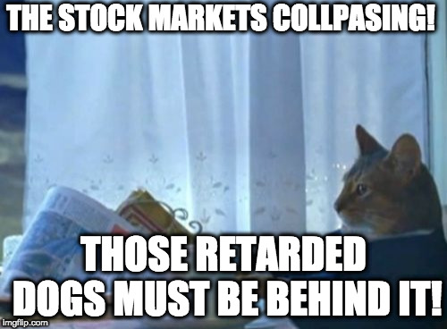 Someone else must take the blame | THE STOCK MARKETS COLLPASING! THOSE RETARDED DOGS MUST BE BEHIND IT! | image tagged in memes,i should buy a boat cat | made w/ Imgflip meme maker
