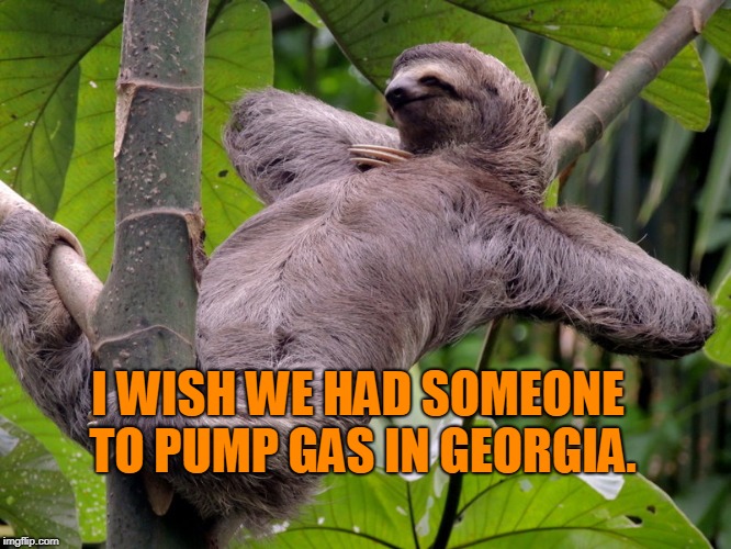 Lazy Sloth | I WISH WE HAD SOMEONE TO PUMP GAS IN GEORGIA. | image tagged in lazy sloth | made w/ Imgflip meme maker