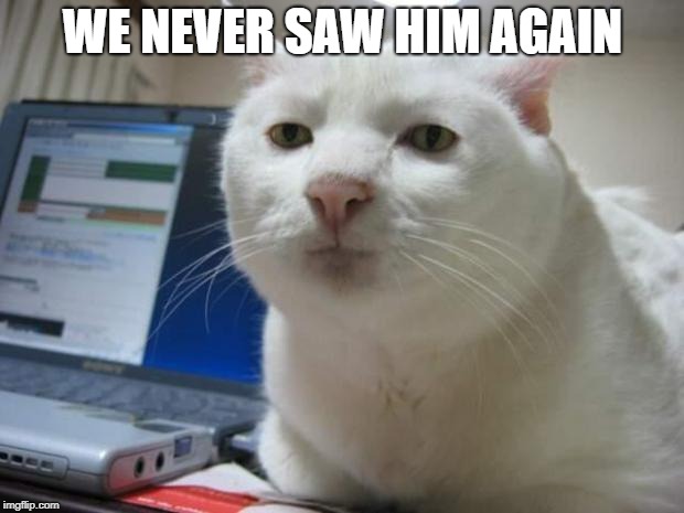 serious cat | WE NEVER SAW HIM AGAIN | image tagged in serious cat | made w/ Imgflip meme maker