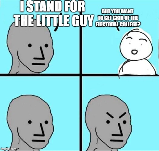 NPC Meme | I STAND FOR THE LITTLE GUY BUT YOU WANT TO GET GRID OF THE ELECTORAL COLLEGE? | image tagged in npc meme | made w/ Imgflip meme maker