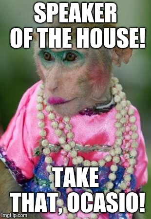 Monkey make up | SPEAKER OF THE HOUSE! TAKE THAT, OCASIO! | image tagged in monkey make up | made w/ Imgflip meme maker