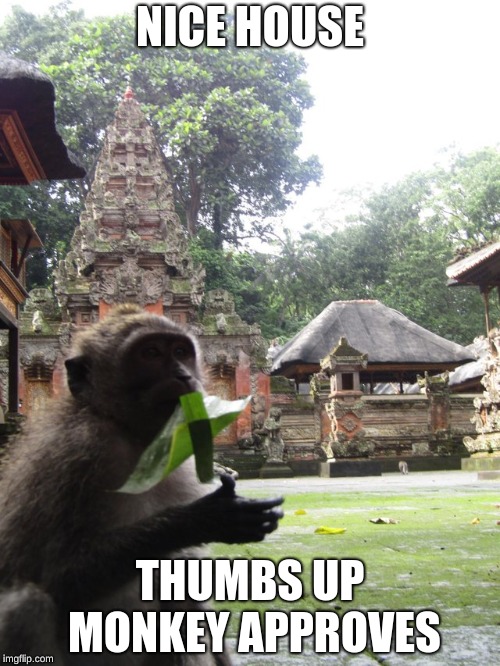 NICE HOUSE; THUMBS UP MONKEY APPROVES | image tagged in thumbs up monkey | made w/ Imgflip meme maker
