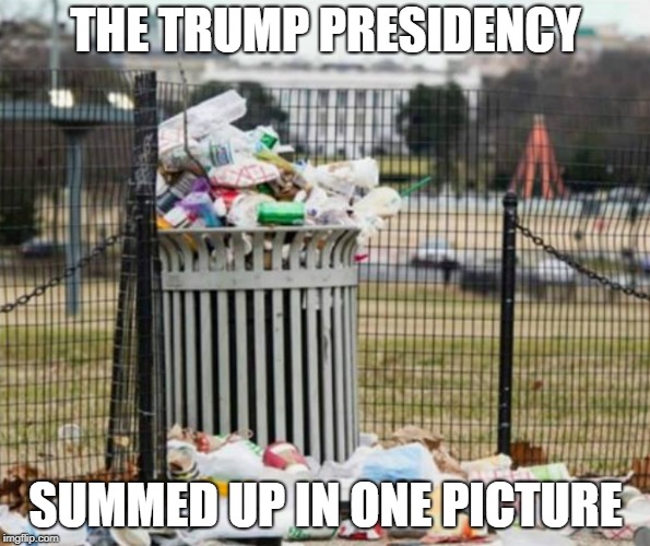 THE TRUMP PRESIDENCY; SUMMED UP IN ONE PICTURE | image tagged in trash | made w/ Imgflip meme maker