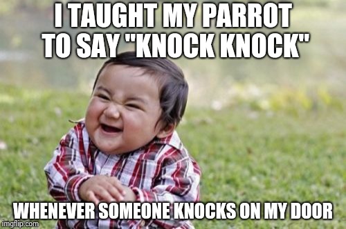 A Jehovah's witness hung himself on my porch | I TAUGHT MY PARROT TO SAY "KNOCK KNOCK"; WHENEVER SOMEONE KNOCKS ON MY DOOR | image tagged in memes,evil toddler,hold the door,crazy eyed bird,just for fun,leave me alone | made w/ Imgflip meme maker