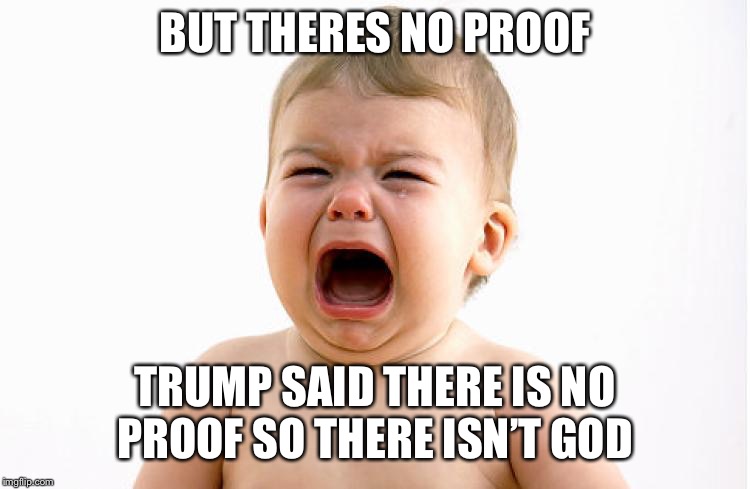 Whining Baby | BUT THERES NO PROOF; TRUMP SAID THERE IS NO PROOF SO THERE ISN’T GOD | image tagged in whining baby | made w/ Imgflip meme maker