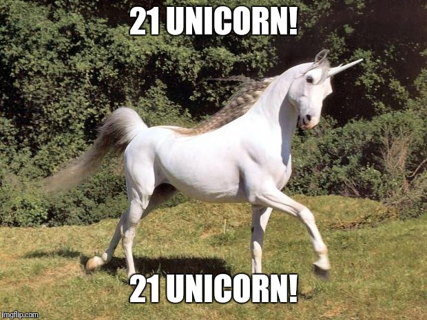 Unicorns | 21 UNICORN! 21 UNICORN! | image tagged in unicorns | made w/ Imgflip meme maker