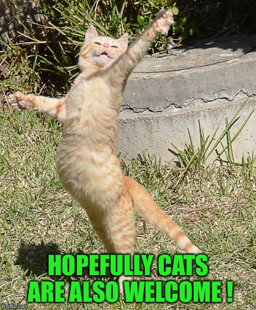 Dancing cat | HOPEFULLY CATS ARE ALSO WELCOME ! | image tagged in dancing cat | made w/ Imgflip meme maker