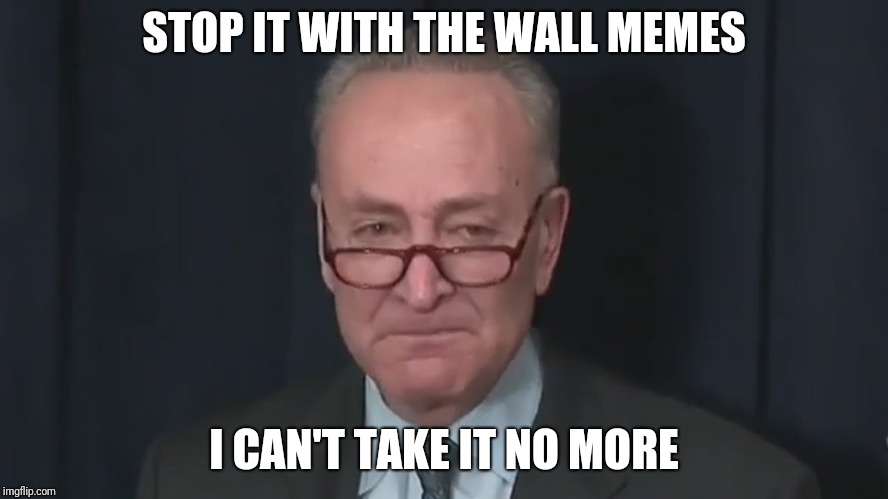 Chuck Schumer Crying | STOP IT WITH THE WALL MEMES; I CAN'T TAKE IT NO MORE | image tagged in chuck schumer crying | made w/ Imgflip meme maker