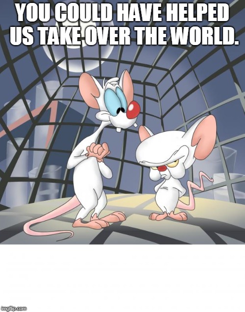 Pinky and the brain | YOU COULD HAVE HELPED US TAKE OVER THE WORLD. | image tagged in pinky and the brain | made w/ Imgflip meme maker