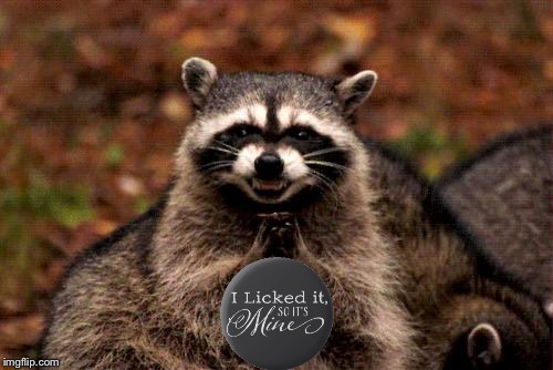Evil Plotting Raccoon Meme | image tagged in memes,evil plotting raccoon | made w/ Imgflip meme maker