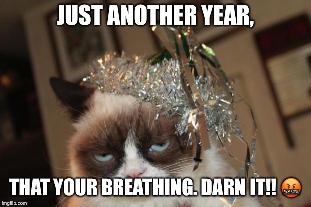 Grumpy Cat New Years | JUST ANOTHER YEAR, THAT YOUR BREATHING. DARN IT!! 🤬 | image tagged in grumpy cat new years | made w/ Imgflip meme maker