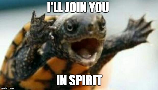 Turtle Say What? | I'LL JOIN YOU IN SPIRIT | image tagged in turtle say what | made w/ Imgflip meme maker