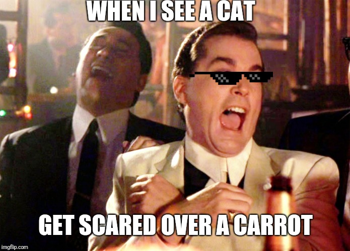 Good Fellas Hilarious Meme | WHEN I SEE A CAT; GET SCARED OVER A CARROT | image tagged in memes,good fellas hilarious | made w/ Imgflip meme maker