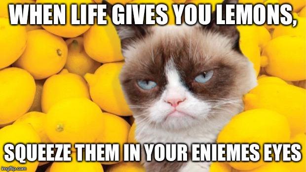 Grumpy Cat lemons | WHEN LIFE GIVES YOU LEMONS, SQUEEZE THEM IN YOUR ENIEMES EYES | image tagged in grumpy cat lemons | made w/ Imgflip meme maker