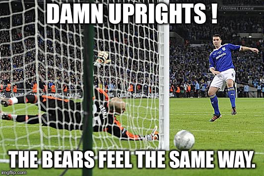 Damn uprights! | DAMN UPRIGHTS ! THE BEARS FEEL THE SAME WAY. | image tagged in off the woodwork | made w/ Imgflip meme maker