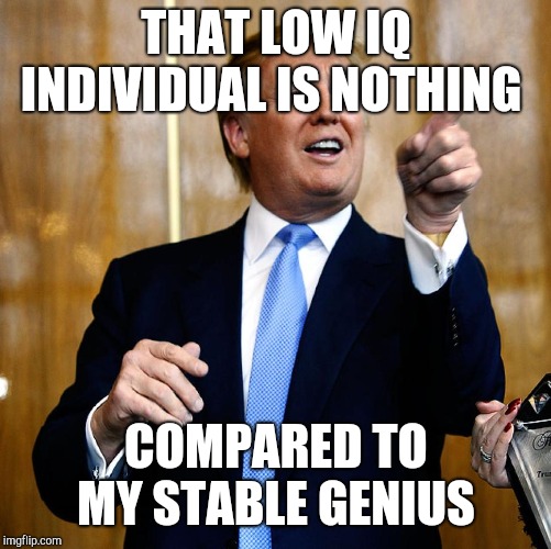 Donal Trump Birthday | THAT LOW IQ INDIVIDUAL IS NOTHING COMPARED TO MY STABLE GENIUS | image tagged in donal trump birthday | made w/ Imgflip meme maker