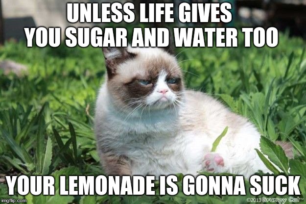 Grumpy Cat's Lemonade | UNLESS LIFE GIVES YOU SUGAR AND WATER TOO; YOUR LEMONADE IS GONNA SUCK | image tagged in memes,grumpy cat,when life gives you lemons | made w/ Imgflip meme maker