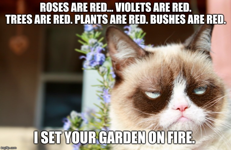 Grumpy Cat's Fire | ROSES ARE RED... VIOLETS ARE RED. TREES ARE RED. PLANTS ARE RED. BUSHES ARE RED. I SET YOUR GARDEN ON FIRE. | image tagged in memes,grumpy cat,garden,on fire | made w/ Imgflip meme maker