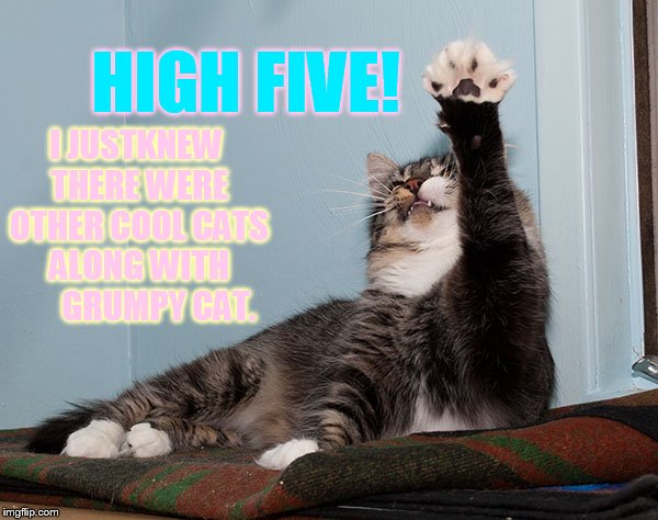 HIGH FIVE! I JUSTKNEW THERE WERE OTHER COOL CATS ALONG WITH       GRUMPY CAT. | made w/ Imgflip meme maker