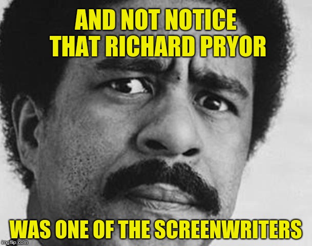 Richard Pryor | AND NOT NOTICE THAT RICHARD PRYOR WAS ONE OF THE SCREENWRITERS | image tagged in richard pryor | made w/ Imgflip meme maker