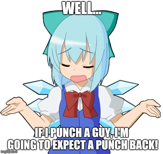 Anime Girl Shrug | WELL... IF I PUNCH A GUY, I'M GOING TO EXPECT A PUNCH BACK! | image tagged in anime girl shrug | made w/ Imgflip meme maker