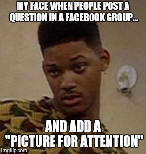 say what | MY FACE WHEN PEOPLE POST A QUESTION IN A FACEBOOK GROUP... AND ADD A "PICTURE FOR ATTENTION" | image tagged in say what | made w/ Imgflip meme maker