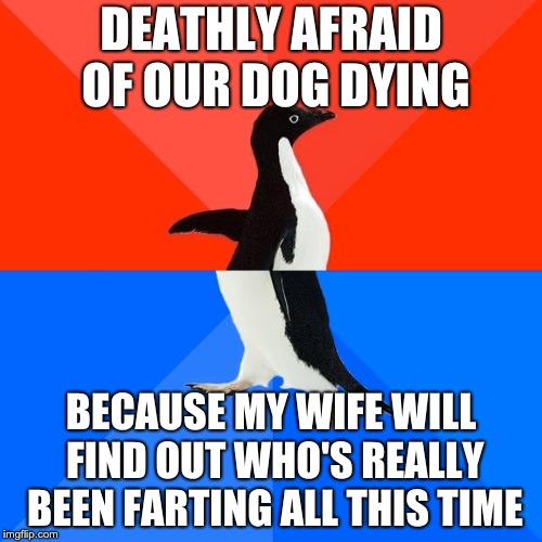 Socially Awesome Awkward Penguin | DEATHLY AFRAID OF OUR DOG DYING; BECAUSE MY WIFE WILL FIND OUT WHO'S REALLY BEEN FARTING ALL THIS TIME | image tagged in memes,socially awesome awkward penguin,AdviceAnimals | made w/ Imgflip meme maker
