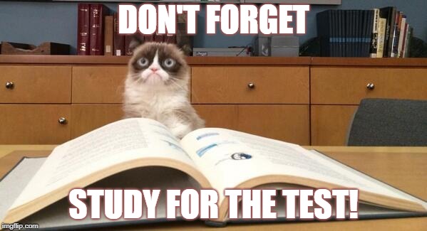 Grumpy Cat Studying | DON'T FORGET; STUDY FOR THE TEST! | image tagged in grumpy cat studying | made w/ Imgflip meme maker