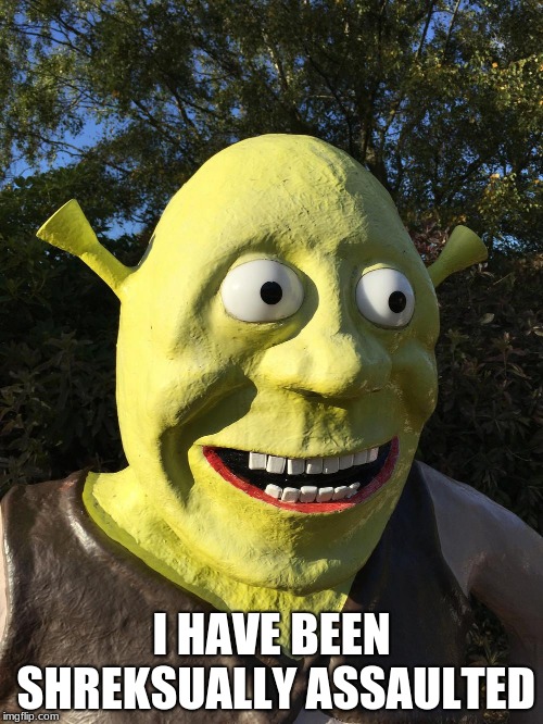 Help | I HAVE BEEN SHREKSUALLY ASSAULTED | image tagged in memes,shrek | made w/ Imgflip meme maker