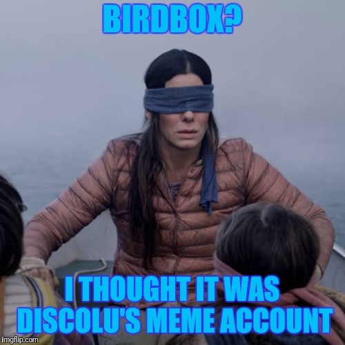 Bird Box | BIRDBOX? I THOUGHT IT WAS DISCOLU'S MEME ACCOUNT | image tagged in birdbox | made w/ Imgflip meme maker