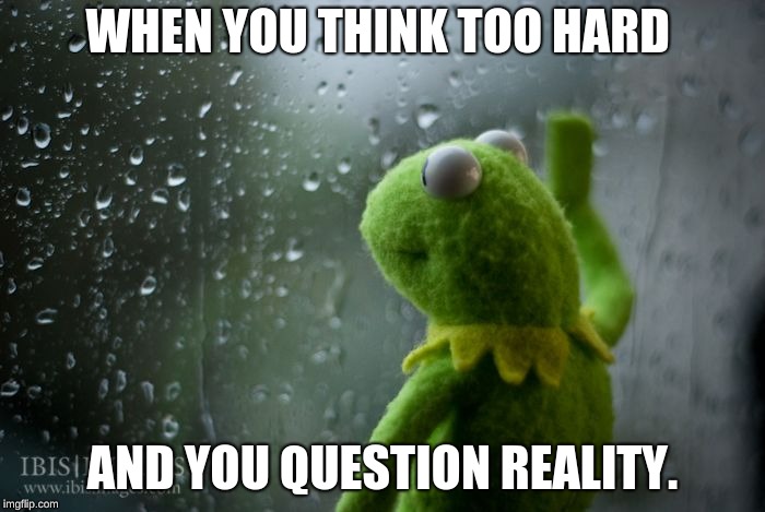 kermit window | WHEN YOU THINK TOO HARD; AND YOU QUESTION REALITY. | image tagged in kermit window | made w/ Imgflip meme maker