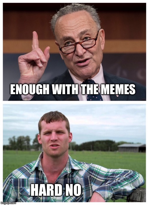 Pitter patter... | ENOUGH WITH THE MEMES; HARD NO | image tagged in chuck schumer,memes,letterkenny | made w/ Imgflip meme maker