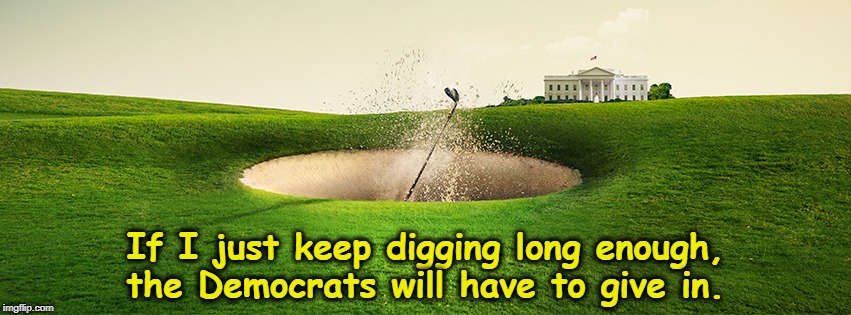 Okay, okay! Nancy, to mark the border, what about a row of toothpicks? | If I just keep digging long enough, the Democrats will have to give in. | image tagged in trump,hole,wall,mexico,border | made w/ Imgflip meme maker