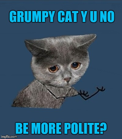 Y U No Sad Cat | GRUMPY CAT Y U NO; BE MORE POLITE? | image tagged in y u no sad cat,y u no,grumpy cat,cats | made w/ Imgflip meme maker