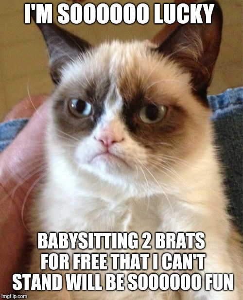 Grumpy Cat Meme | I'M SOOOOOO LUCKY; BABYSITTING 2 BRATS FOR FREE THAT I CAN'T STAND WILL BE SOOOOOO FUN | image tagged in memes,grumpy cat | made w/ Imgflip meme maker