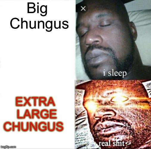 Sleeping Shaq Meme | Big Chungus; EXTRA LARGE CHUNGUS | image tagged in memes,sleeping shaq | made w/ Imgflip meme maker