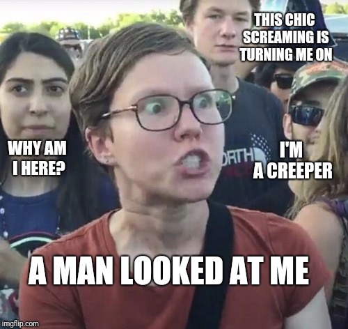 Triggered feminist | THIS CHIC SCREAMING IS TURNING ME ON; I'M A CREEPER; WHY AM I HERE? A MAN LOOKED AT ME | image tagged in triggered feminist | made w/ Imgflip meme maker