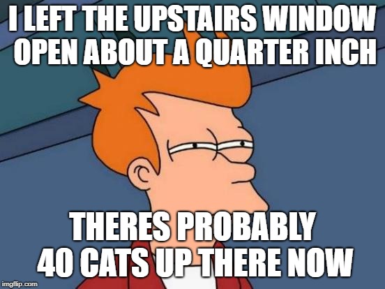 Futurama Fry Meme | I LEFT THE UPSTAIRS WINDOW OPEN ABOUT A QUARTER INCH THERES PROBABLY 40 CATS UP THERE NOW | image tagged in memes,futurama fry | made w/ Imgflip meme maker