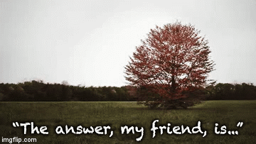 “The answer, my friend, is...” | image tagged in gifs | made w/ Imgflip video-to-gif maker