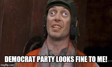 Crazy Eyes | DEMOCRAT PARTY LOOKS FINE TO ME! | image tagged in crazy eyes | made w/ Imgflip meme maker