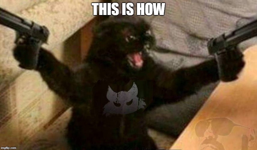 Cat With Guns | THIS IS HOW | image tagged in cat with guns | made w/ Imgflip meme maker