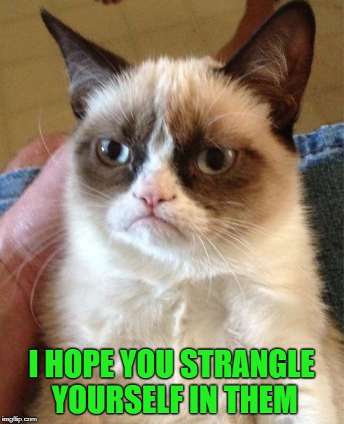 Grumpy Cat Meme | I HOPE YOU STRANGLE YOURSELF IN THEM | image tagged in memes,grumpy cat | made w/ Imgflip meme maker