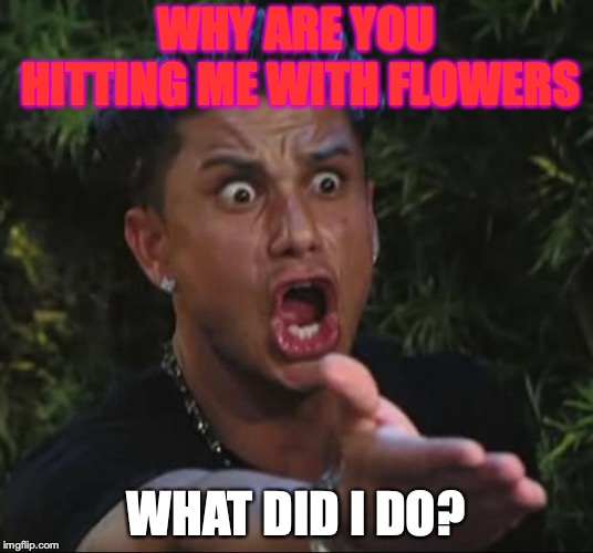 DJ Pauly D | WHY ARE YOU HITTING ME WITH FLOWERS; WHAT DID I DO? | image tagged in memes,dj pauly d | made w/ Imgflip meme maker