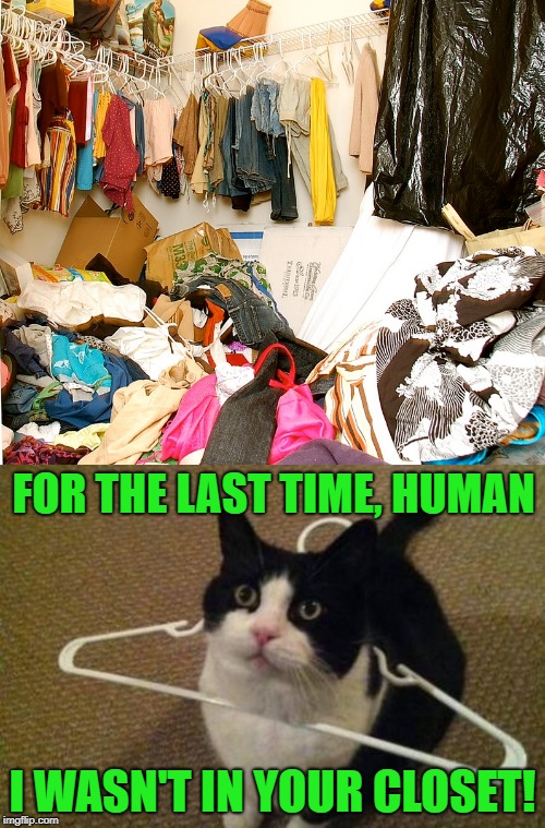 Poor kitty is hanging himself with his own lies | FOR THE LAST TIME, HUMAN; I WASN'T IN YOUR CLOSET! | image tagged in memes,trashed closet,cats,closet hanger,funny | made w/ Imgflip meme maker