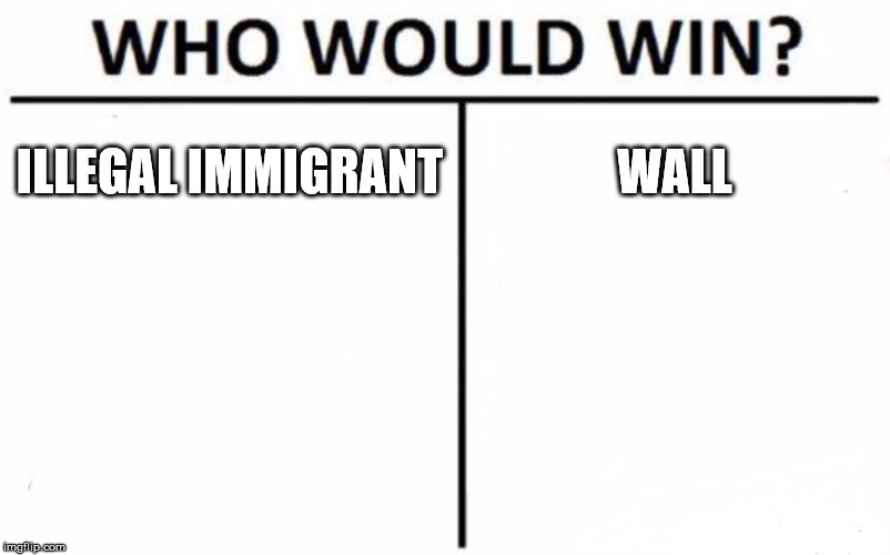 Who Would Win? | ILLEGAL IMMIGRANT; WALL | image tagged in memes,who would win | made w/ Imgflip meme maker