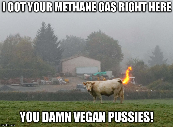 I GOT YOUR METHANE GAS RIGHT HERE; YOU DAMN VEGAN PUSSIES! | made w/ Imgflip meme maker