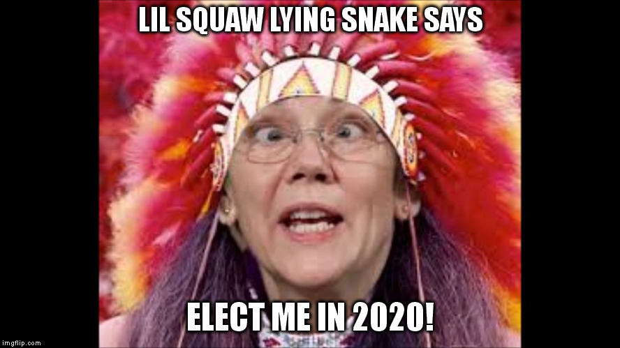 LIL SQUAW LYING SNAKE SAYS; ELECT ME IN 2020! | image tagged in fakeindian | made w/ Imgflip meme maker