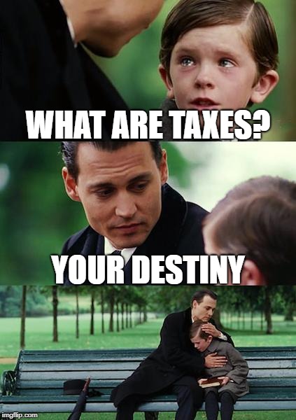 Finding Neverland | WHAT ARE TAXES? YOUR DESTINY | image tagged in memes,finding neverland | made w/ Imgflip meme maker