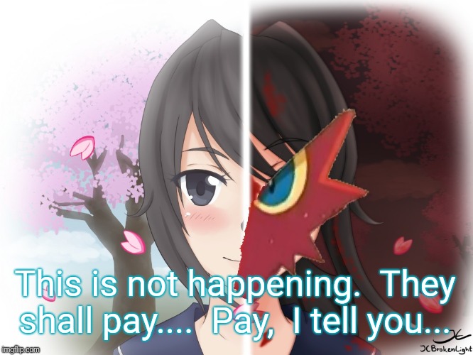 Yandere Blaziken | This is not happening.  They shall pay....  Pay,  I tell you... | image tagged in yandere blaziken | made w/ Imgflip meme maker